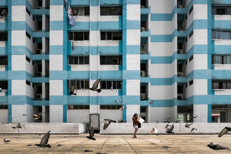 A woman who was there taking photos of Rochor Centre being overwhelmed by a flock of flying pigeons.