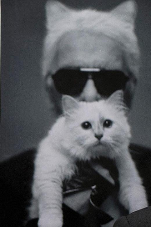 Could Karl Lagerfeld&#039;s famous cat Choupette inherit his millions?