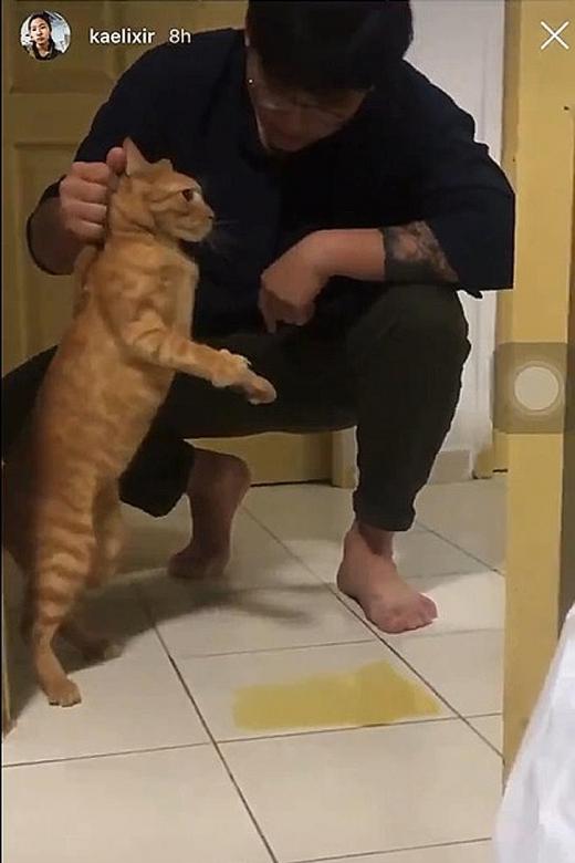 Couple filmed hitting pet cat have taken it to vet