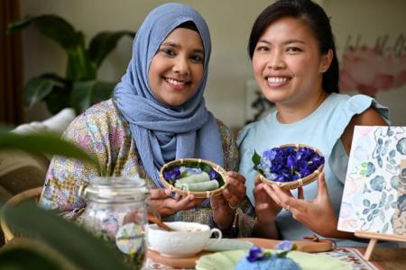 Two neighbours sow the seeds of cultural preservation with the blue pea flower