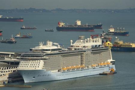 Passenger who fell from cruise ship has died, says son; search continues