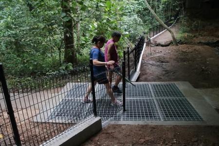 Barriers at 3 sites in Zhenghua Nature Park to keep residents safe from wild boars