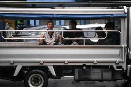 Migrant worker groups urge Government for timeline to stop transporting workers in lorries