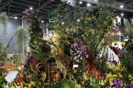 Botanic Gardens, Gardens by the Bay sweep top awards at mega orchid show 