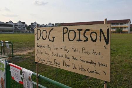 Investigations ongoing into dog deaths at field in Kovan  
