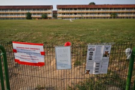 Parry Avenue field to reopen on Sunday; probe finds no evidence of substances linking it to 3 dog deaths
