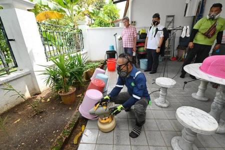Warmer weather towards year-end could worsen dengue situation: NEA