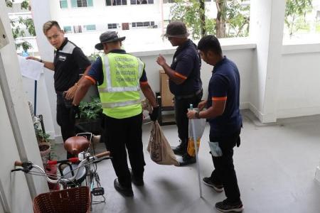 Python found at Tampines HDB block released in forested area