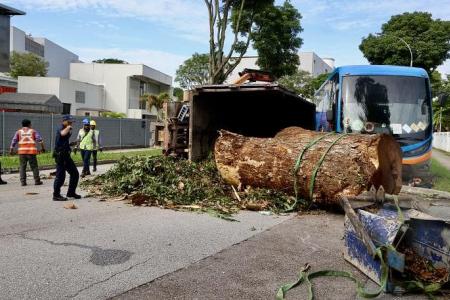 Lorry carrying a tree trunk tips over, hits private bus in Yishun