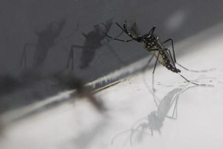First dengue vaccine launched in Malaysia