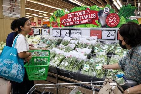 FairPrice sells greens at low prices in pilot to help local farms