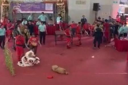 Couple arrested for allegedly disrupting lion dance competition by shouting, kicking the lion’s head 