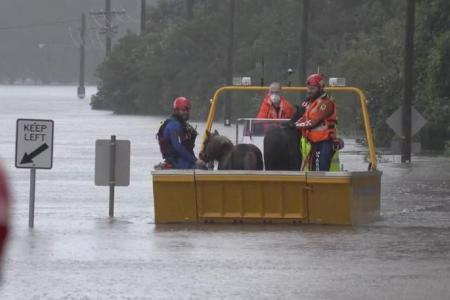 Sydney braces for more heavy rains and flash floods as thousands flee homes