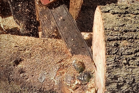 Emerald Buddha statue found in mango tree trunk at Thai temple