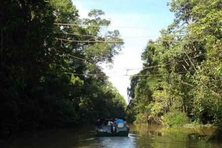 Singaporean hiker found after getting lost in Malaysia’s Sandakan forest reserve