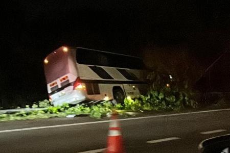 Bus veers off Seletar Expressway, crashes into tree; driver taken to hospital