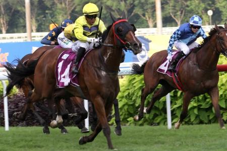 Thousands gather to witness final horse races at Turf Club