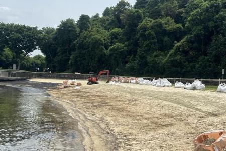 Swimming, water activities resume at Lazarus Island beach