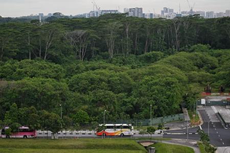 Delay in projects to transform Lim Chu Kang into food hub