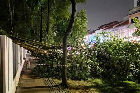 Strong winds, heavy rain batter Singapore