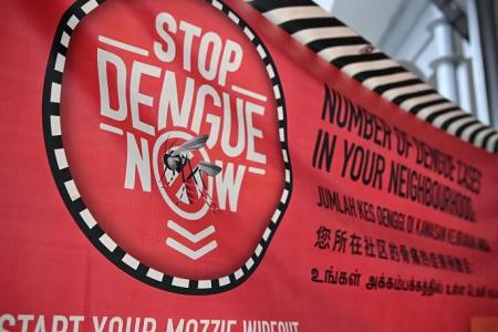Weekly dengue cases in Singapore exceed 300 for the first time this year  