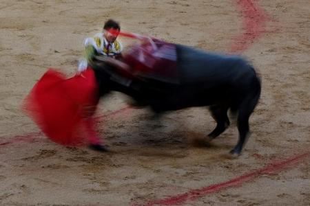 Spain abolishes national bullfighting award 