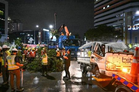 Fallen tree in Ophir Road pins car, crushes cab of pickup truck