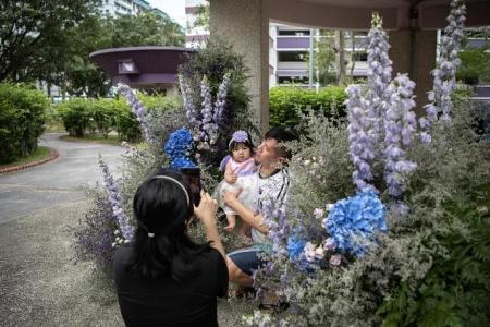 ‘Flower bomb’ draws admirers to Pasir Ris pavilion
