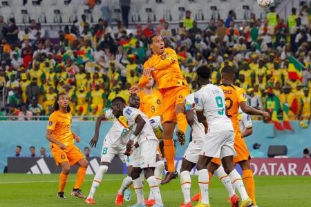 World Cup: Dutch 'must do better' despite beating Senegal, says Van Dijk