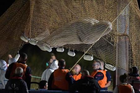 Stranded beluga whale removed from France's Seine river