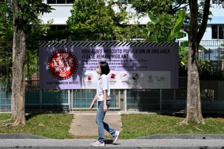 New purple dengue alert banner deployed in areas with high Aedes mosquito populations