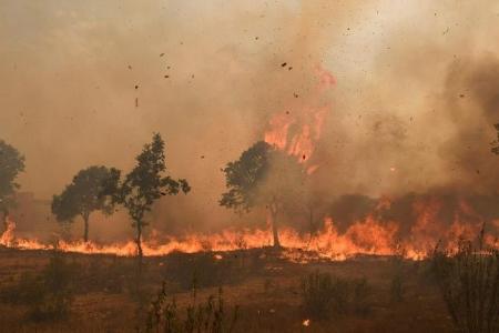 Heatwave ripples across Europe as firefighters battle to contain wildfires 