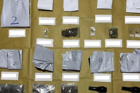 Brothers, 17 and 25, arrested for suspected drug activities 