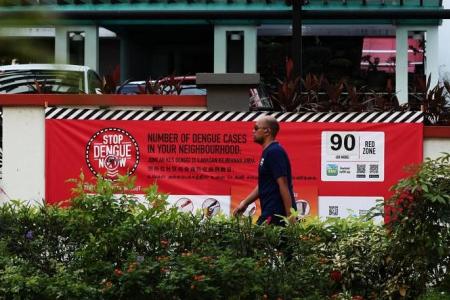 Singapore's weekly dengue count expected to hit new peak, may surpass 2,000 cases