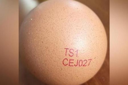Eggs from Malaysian farm recalled after salmonella detected