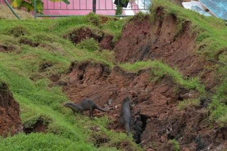 Clementi landslide: Close call for warehouse worker cycling home