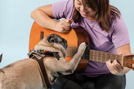 Extreme pet pampering: Music enrichment classes for dogs?