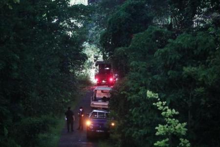 3 people taken to hospital after tree falls in Ghim Moh