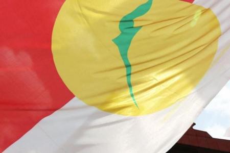 Umno agrees to unity govt not led by Perikatan Nasional