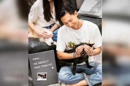 Actor Desmond Tan’s wife is pregnant with a girl