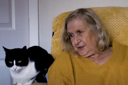 Support cat who ‘hears’ for deaf owner crowned Cat Of The Year in UK