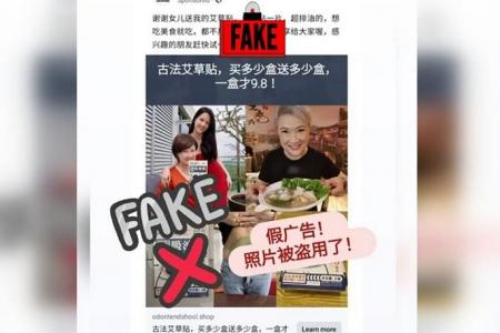 Actress Hong Huifang alerts fans to fake ad showing her and daughter 