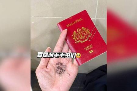 No eyelash extensions allowed for passport photo, so woman pulls them out ‘one by one’