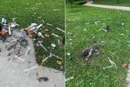 Banner asking residents to clean up litter after Deepavali revelry to be taken down 