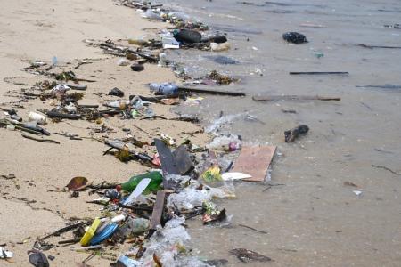 Plastic trash on S'pore beaches come mostly from offshore sources