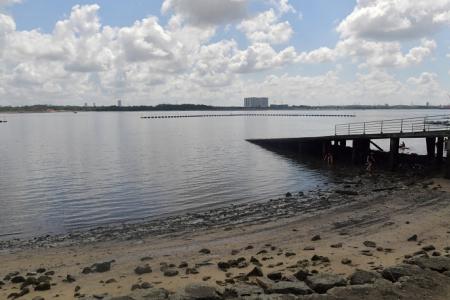 Sembawang Park Beach still unsafe for swimming