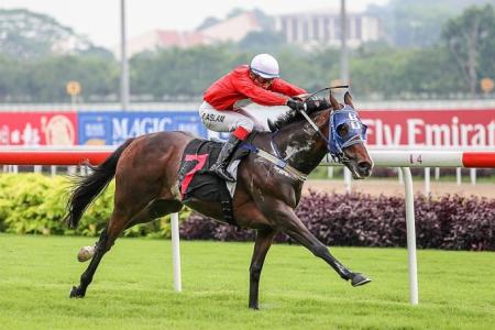 Newcomer Power Lion roars to $6 win