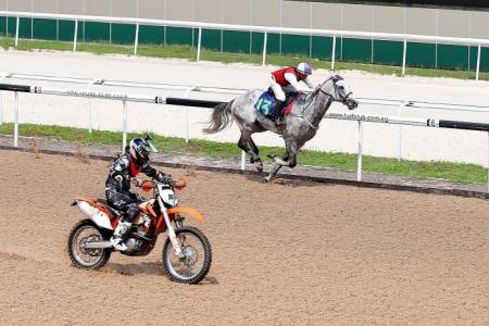 We raced against horse and it was epic