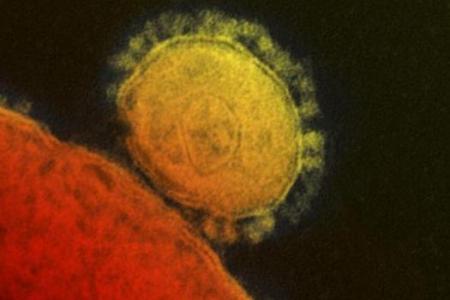 MERS patient in US sat in busy ER for hours