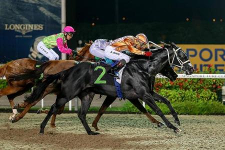 Friday's Singapore stipendiary Stewards' report highlights